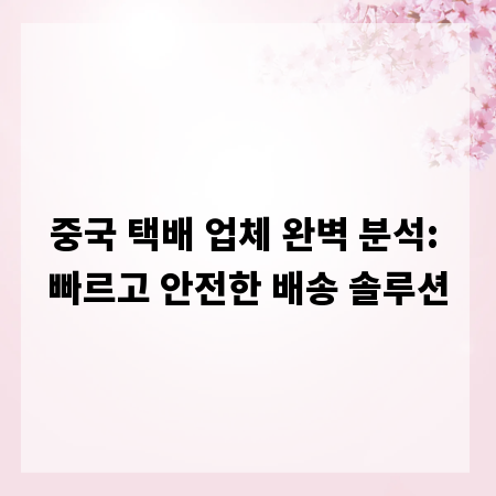 중국 택배 업체 완벽 분석: 빠르고 안전한 배송 솔루션