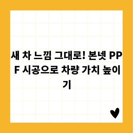 새 차 느낌 그대로! 본넷 PPF 시공으로 차량 가치 높이기