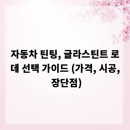 자동차 틴팅, 글라스틴트 로데 선택 가이드 (가격, 시공, 장단점)
