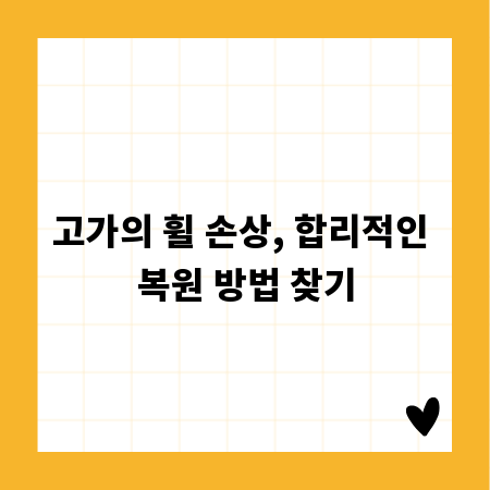 고가의 휠 손상, 합리적인 복원 방법 찾기
