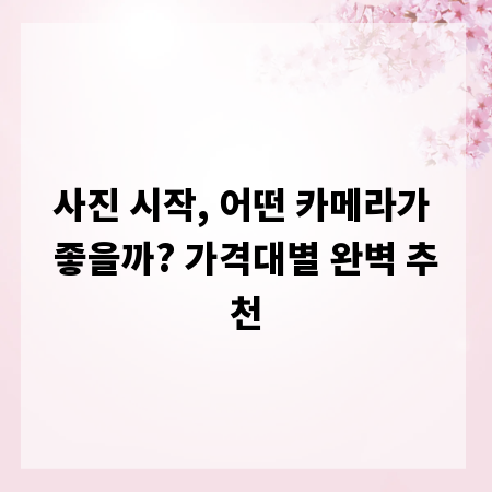 사진 시작, 어떤 카메라가 좋을까? 가격대별 완벽 추천