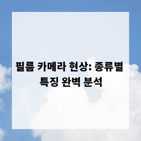 필름 카메라 현상: 종류별 특징 완벽 분석