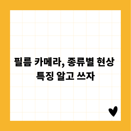 필름 카메라, 종류별 현상 특징 알고 쓰자