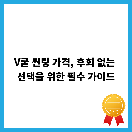 V쿨 썬팅 가격, 후회 없는 선택을 위한 필수 가이드