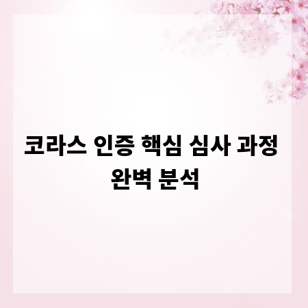 코라스 인증 핵심 심사 과정 완벽 분석