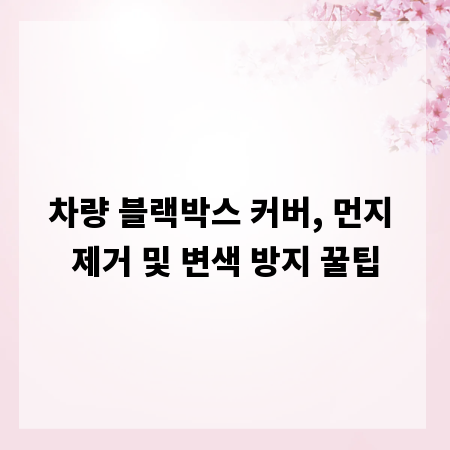 차량 블랙박스 커버, 먼지 제거 및 변색 방지 꿀팁