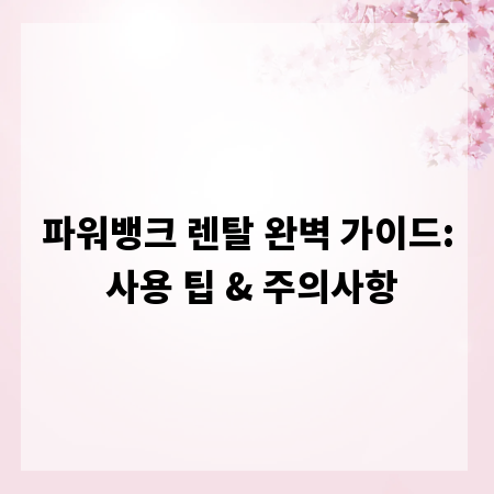 파워뱅크 렌탈 완벽 가이드: 사용 팁 & 주의사항