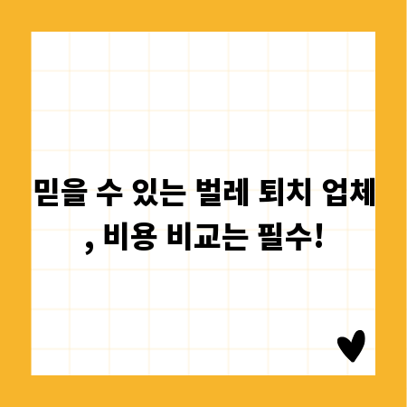 믿을 수 있는 벌레 퇴치 업체, 비용 비교는 필수!