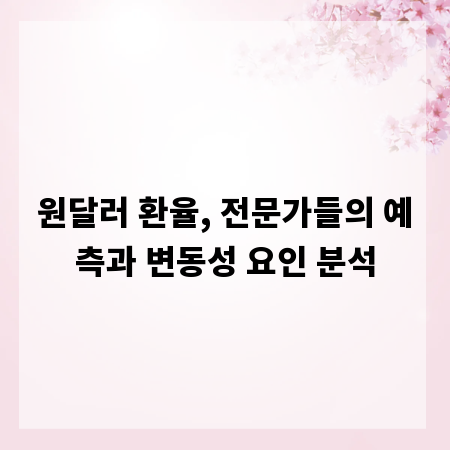 원달러 환율, 전문가들의 예측과 변동성 요인 분석