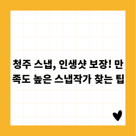 청주 스냅, 인생샷 보장! 만족도 높은 스냅작가 찾는 팁