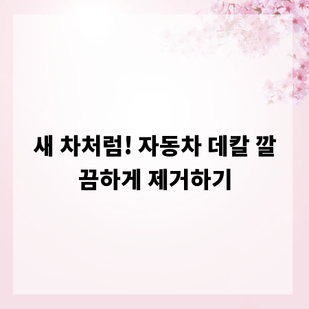 새 차처럼! 자동차 데칼 깔끔하게 제거하기