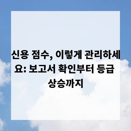 신용 점수, 이렇게 관리하세요: 보고서 확인부터 등급 상승까지