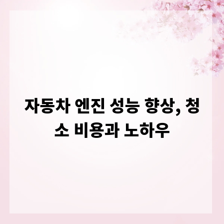 자동차 엔진 성능 향상, 청소 비용과 노하우
