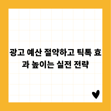 광고 예산 절약하고 틱톡 효과 높이는 실전 전략