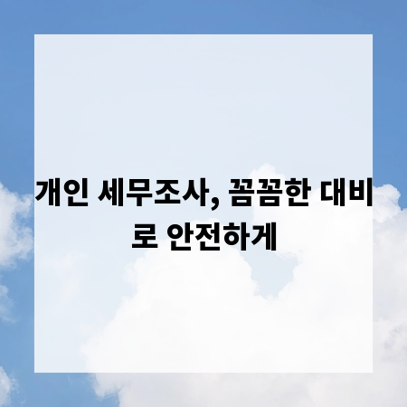 개인 세무조사, 꼼꼼한 대비로 안전하게