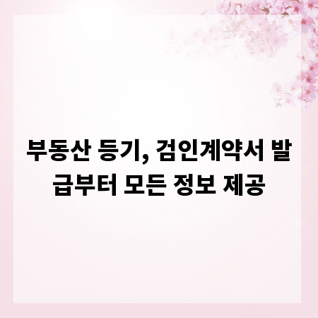 부동산 등기, 검인계약서 발급부터 모든 정보 제공