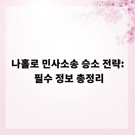 나홀로 민사소송 승소 전략: 필수 정보 총정리