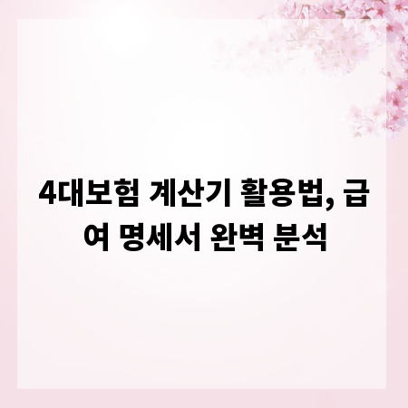 4대보험 계산기 활용법, 급여 명세서 완벽 분석