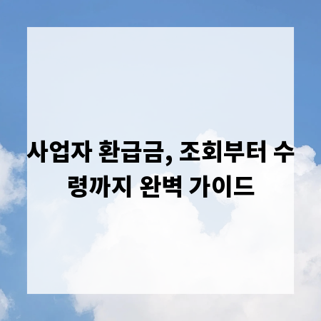 사업자 환급금, 조회부터 수령까지 완벽 가이드