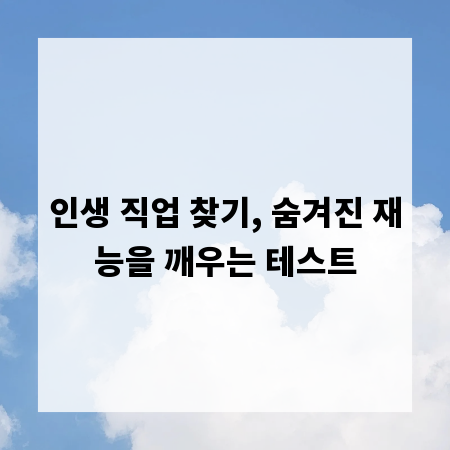 인생 직업 찾기, 숨겨진 재능을 깨우는 테스트
