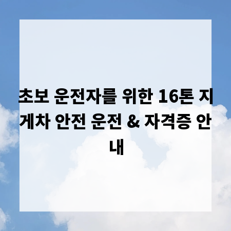 초보 운전자를 위한 16톤 지게차 안전 운전 & 자격증 안내