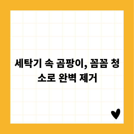 세탁기 청소, 이제는 꼼꼼하게 세탁조 관리