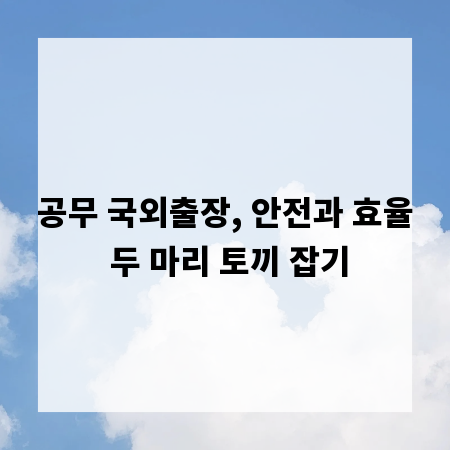공무 국외출장, 안전과 효율 두 마리 토끼 잡기