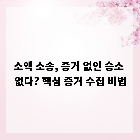 소액 소송, 증거 없인 승소 없다? 핵심 증거 수집 비법