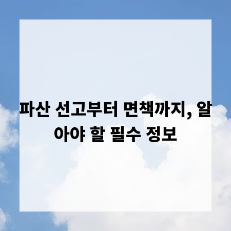 파산 선고부터 면책까지, 알아야 할 필수 정보
