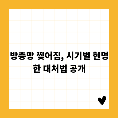 방충망 찢어짐, 시기별 현명한 대처법 공개