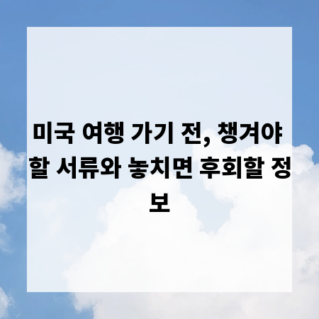 미국 여행 가기 전, 챙겨야 할 서류와 놓치면 후회할 정보