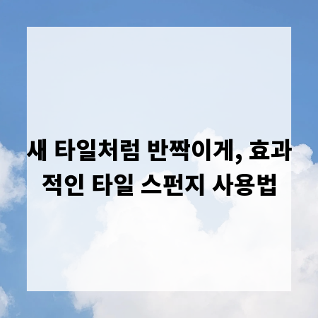 새 타일처럼 반짝이게, 효과적인 타일 스펀지 사용법