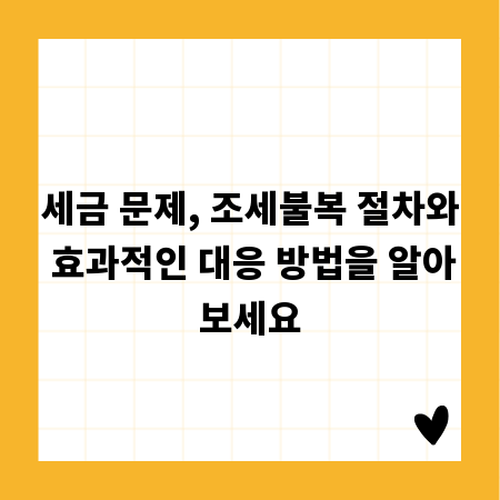 세금 문제, 조세불복 절차와 효과적인 대응 방법을 알아보세요