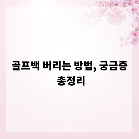 골프백 버리는 방법, 궁금증 총정리