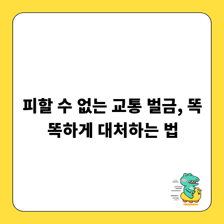 피할 수 없는 교통 벌금, 똑똑하게 대처하는 법