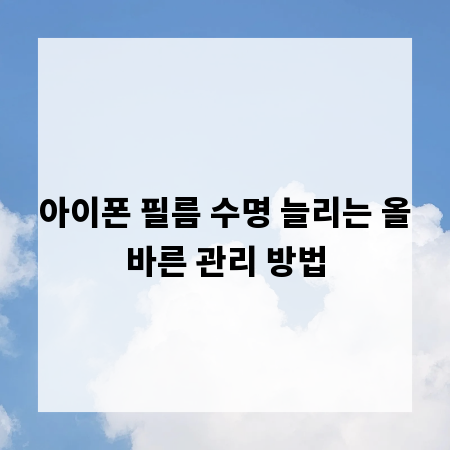아이폰 필름 수명 늘리는 올바른 관리 방법