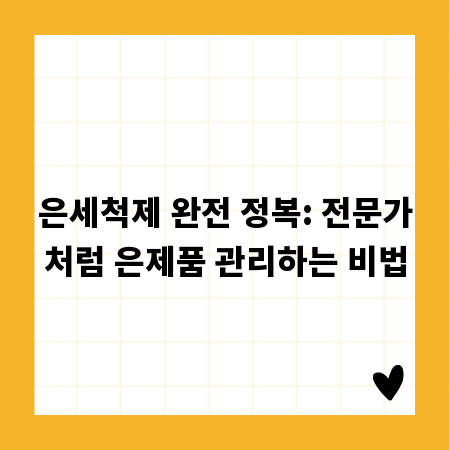 은세척제 완전 정복: 전문가처럼 은제품 관리하는 비법