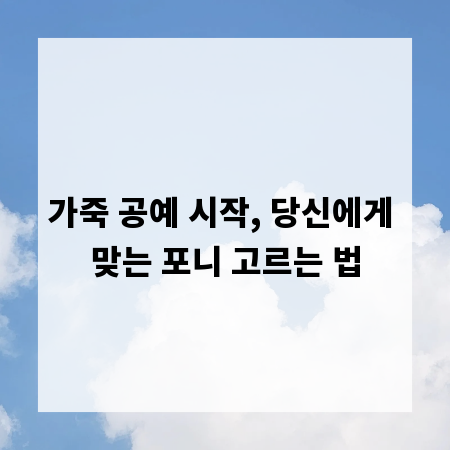 가죽 공예 시작, 당신에게 맞는 포니 고르는 법