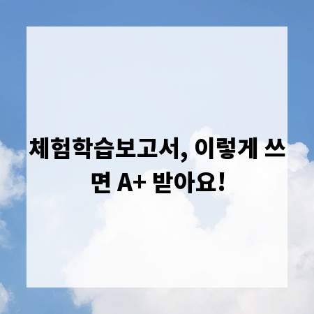 체험학습보고서, 이렇게 쓰면 A+ 받아요!