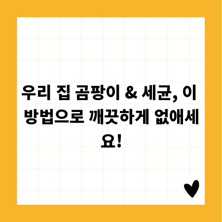 우리 집 곰팡이 & 세균, 이 방법으로 깨끗하게 없애세요!