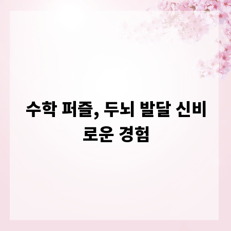 수학 퍼즐, 두뇌 발달 신비로운 경험