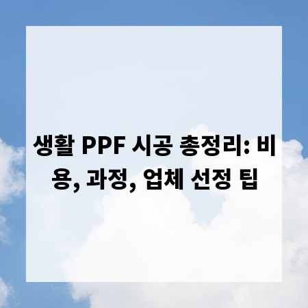 생활 PPF 시공 총정리: 비용, 과정, 업체 선정 팁