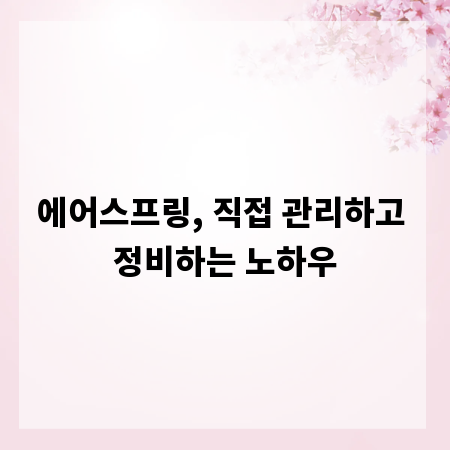 에어스프링, 직접 관리하고 정비하는 노하우
