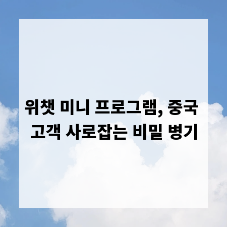 위챗 미니 프로그램, 중국 고객 사로잡는 비밀 병기