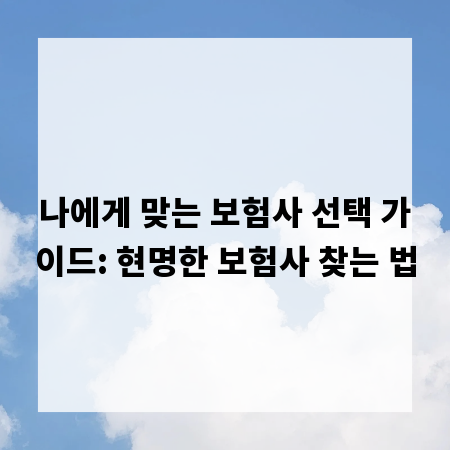 나에게 맞는 보험사 선택 가이드: 현명한 보험사 찾는 법