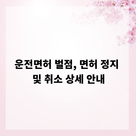 운전면허 벌점, 면허 정지 및 취소 상세 안내