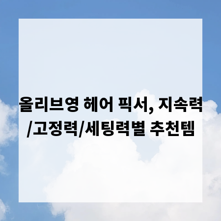 올리브영 헤어 픽서, 지속력/고정력/세팅력별 추천템