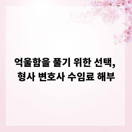 억울함을 풀기 위한 선택, 형사 변호사 수임료 해부