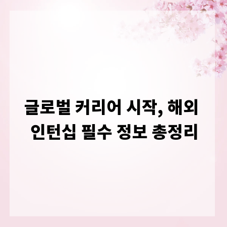 글로벌 커리어 시작, 해외 인턴십 필수 정보 총정리