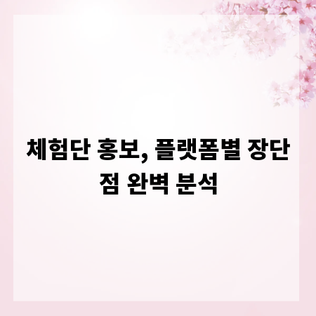 체험단 홍보, 플랫폼별 장단점 완벽 분석